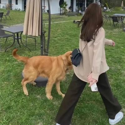 部长做了一个梦
